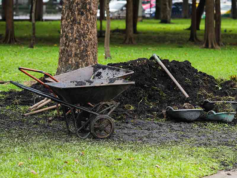 Goedkope container Amsterdam